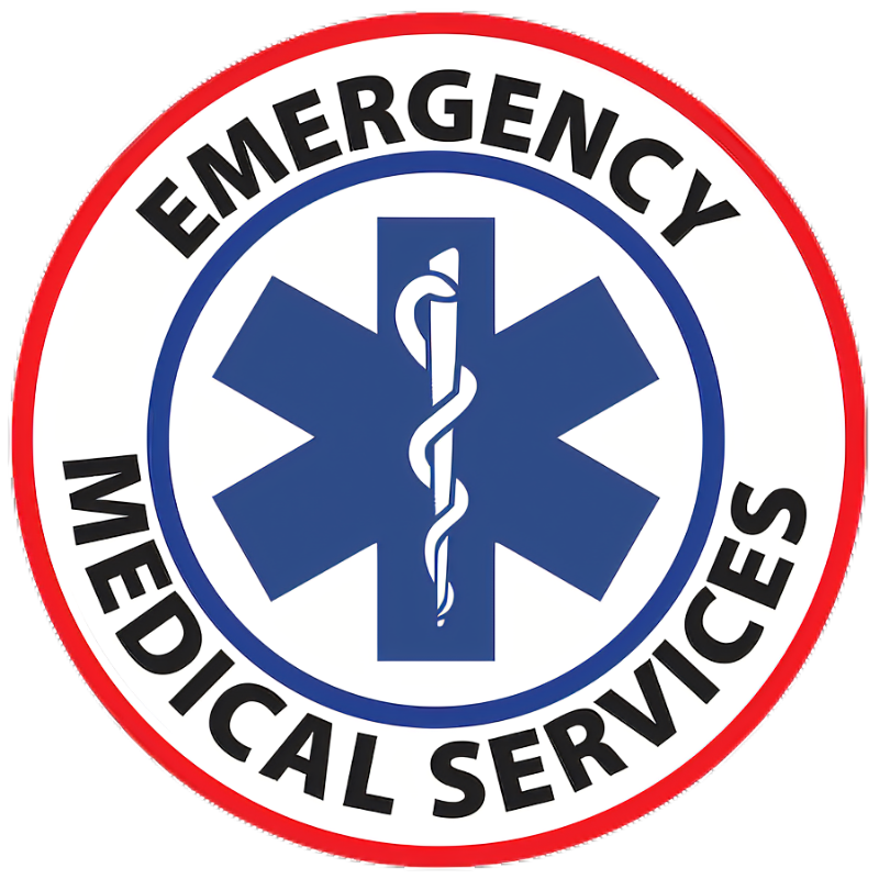 EMS Logo